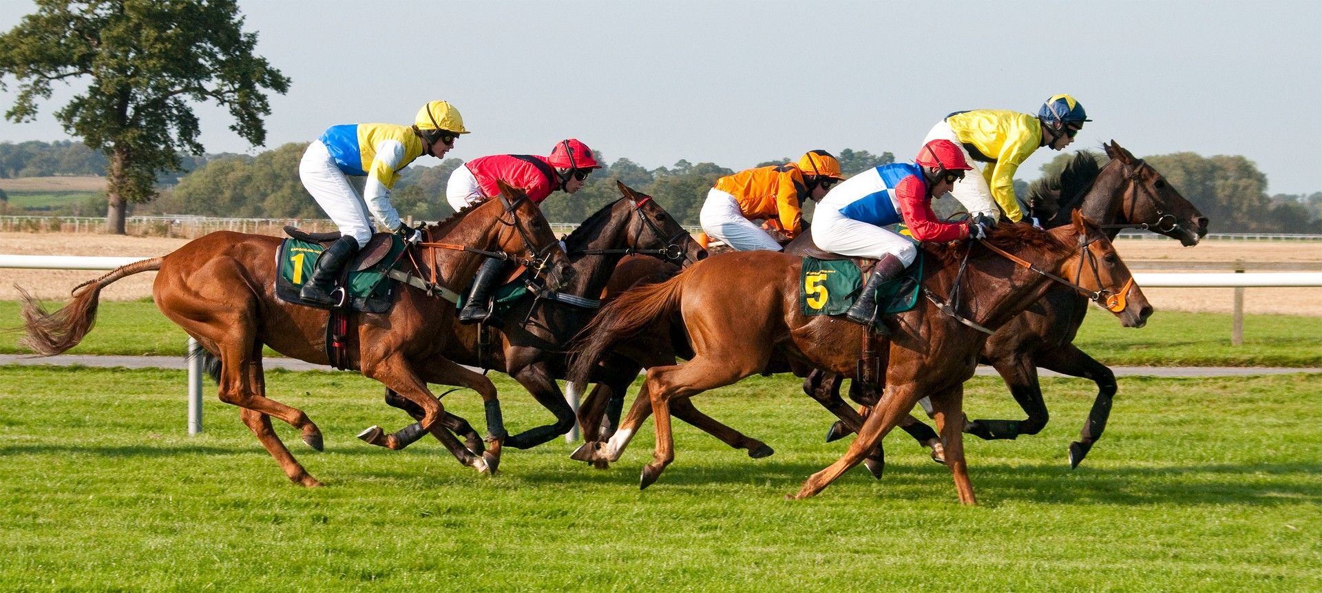 Horseracing - Frost riding the hazard as she gears up to overcome Cheltenham 1