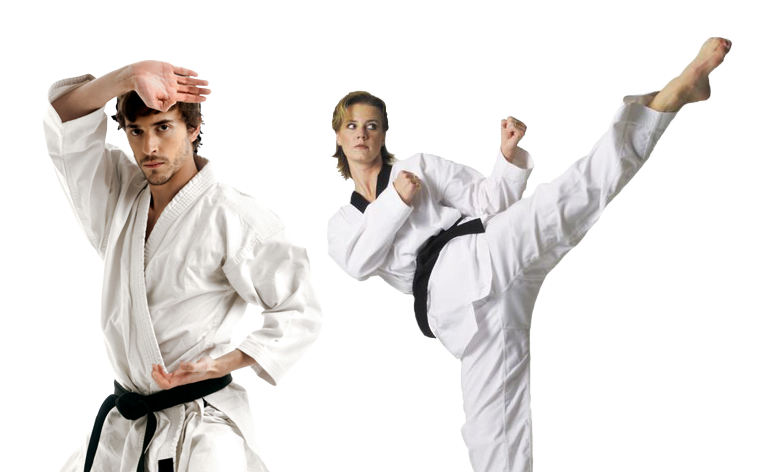 Tai chi, all forms of Yoga and martial arts for every age 1