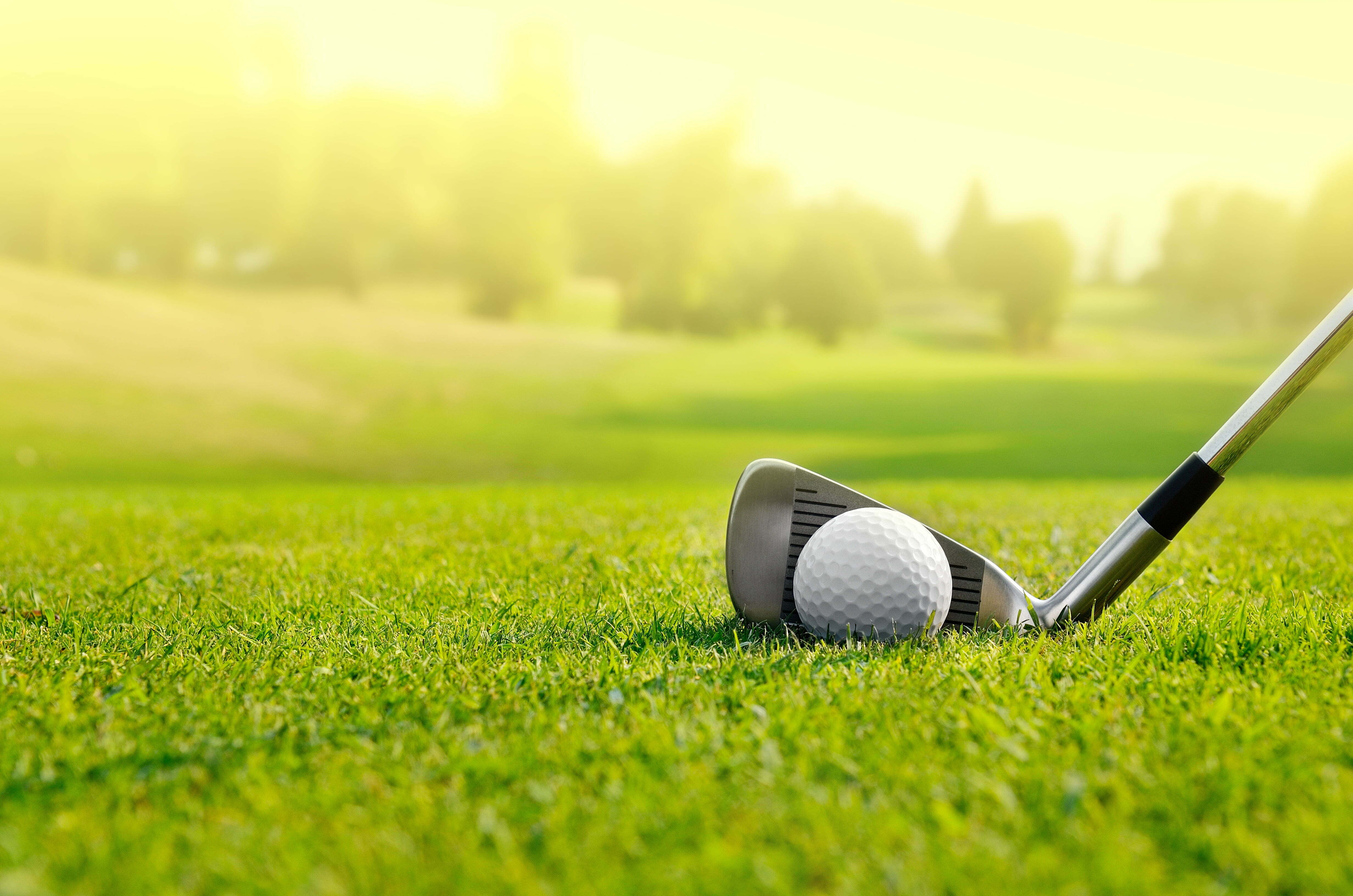 Report acknowledges Duluth might also want fewer golfing holes