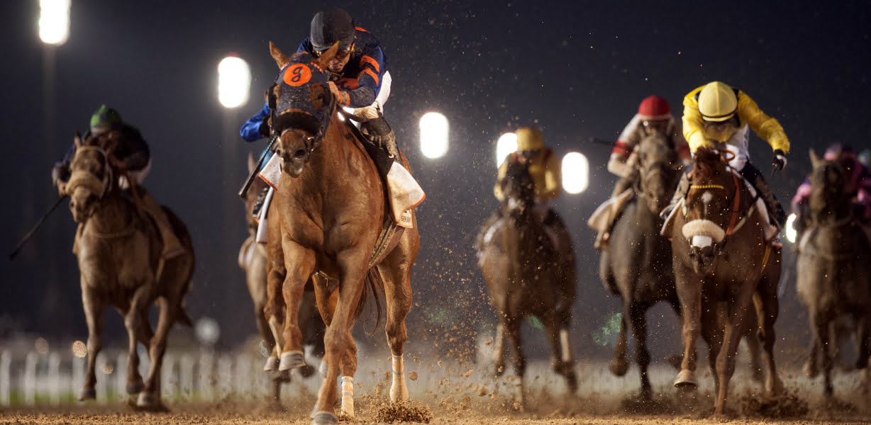 Horse Racing Betting Tips: Klassical Dream will be made for the Supreme but I’m loving Angels alternatively