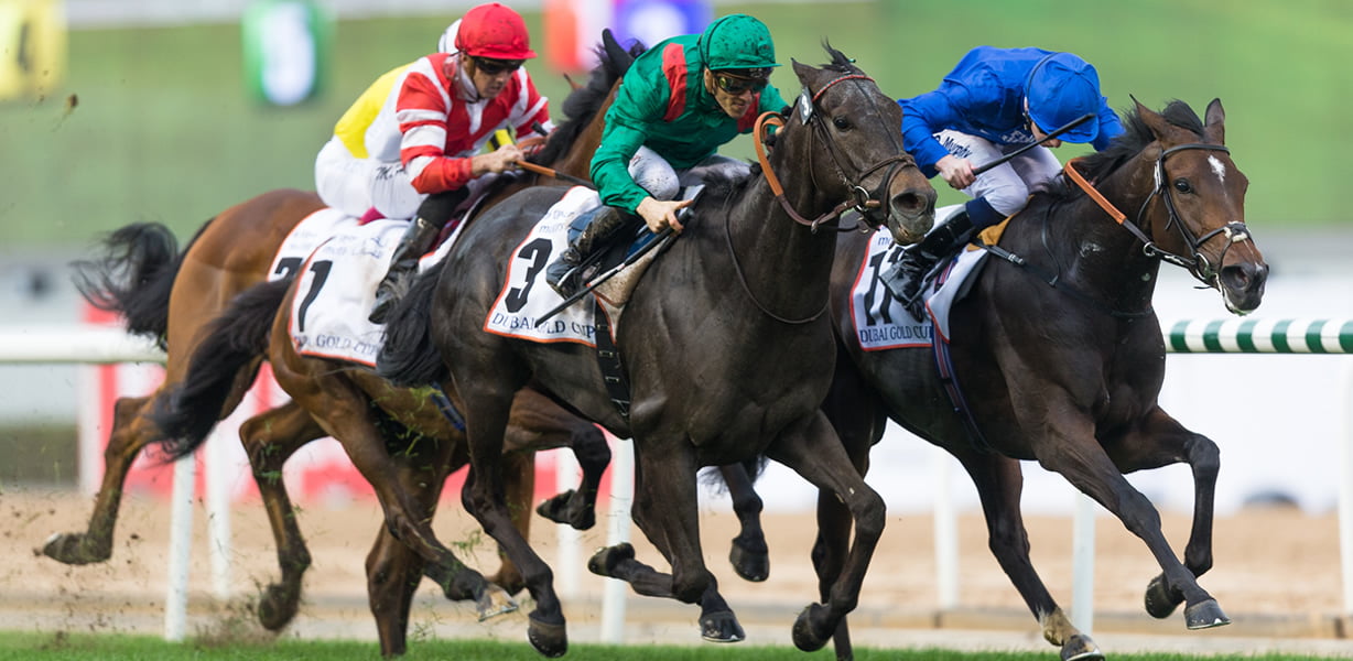 Horse Racing: Garrity goes to the dry southwest, and finds — rain