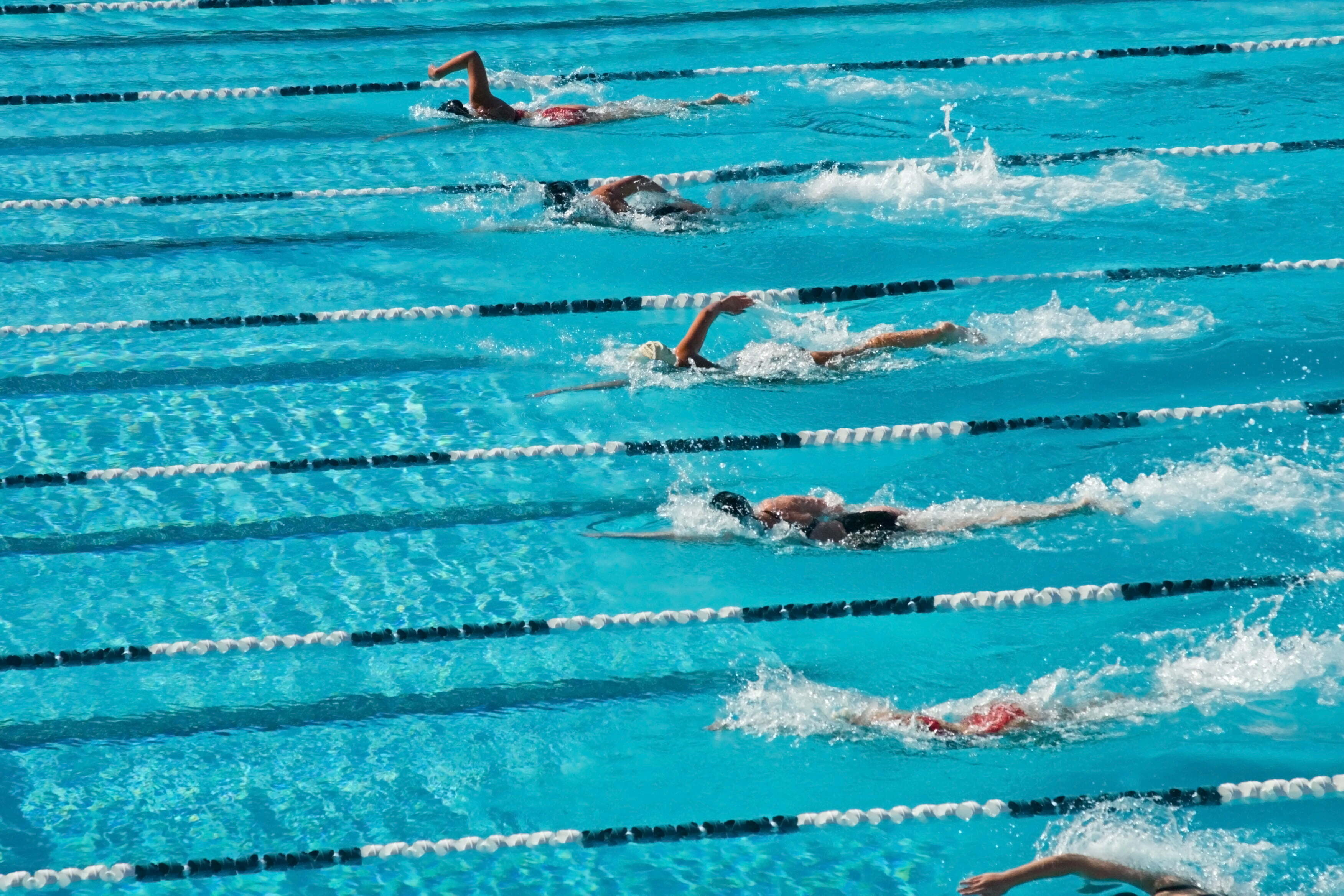 Swimmers at Hastings Public School competed within the North Coast swimming carnival