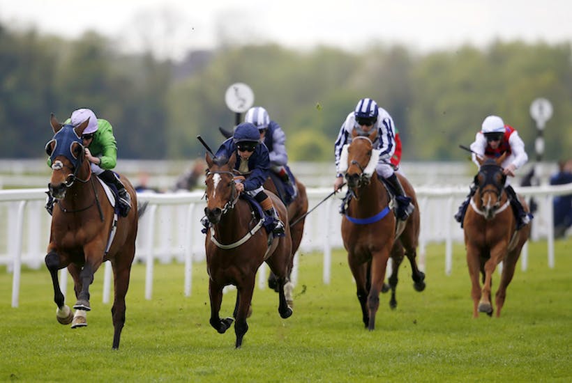 Killarney live streaming: Horse racing preview & suggestions – Sunday, May 12, 2019
