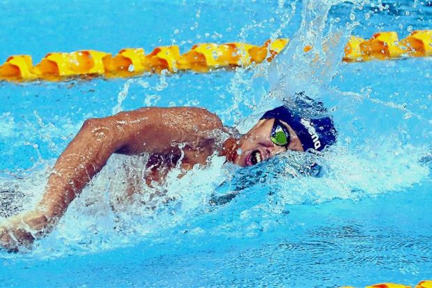 Fina Champions Swim Series: Ben Proud wins Champions Swim Series gold, Georgia Davies wins silver